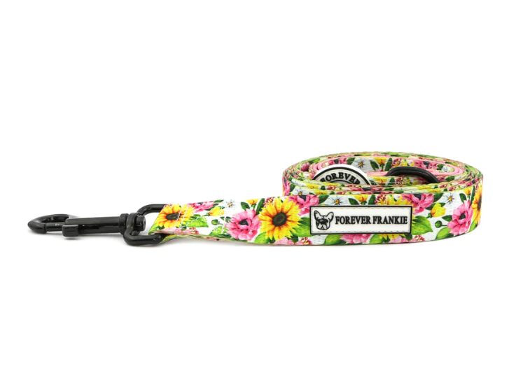 Heavenly Sunflower - Dog Leash