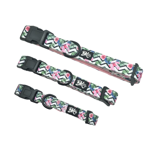 You had me at Aloha Dog Collar Furry Lane Pet Boutique